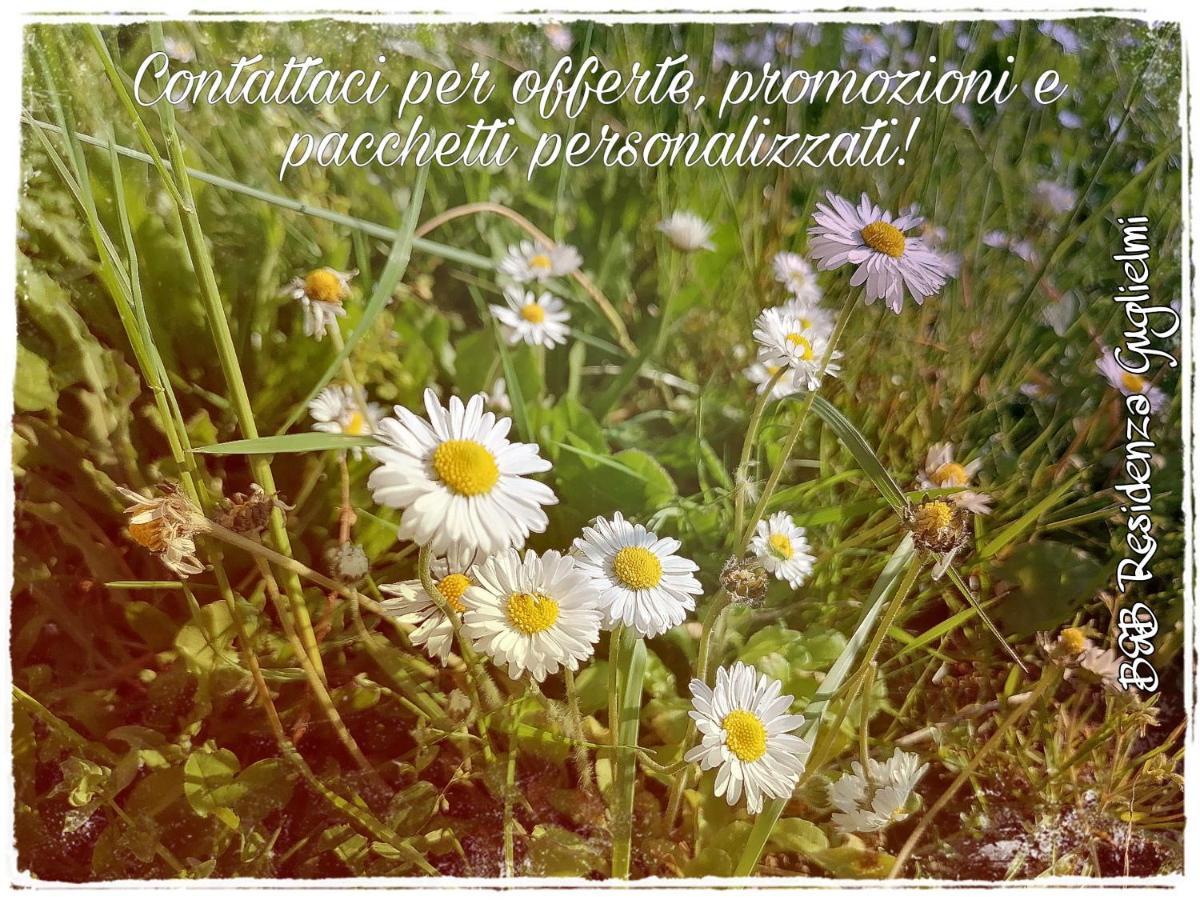 Bed and Breakfast Residenza Guglielmi Campobasso Zewnętrze zdjęcie